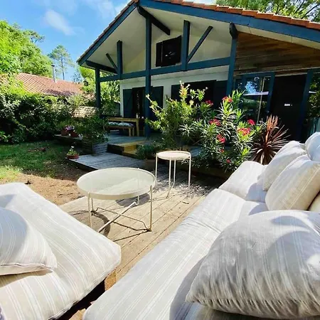 Maison Renovee Ocean A 1 Km Messanges (Landes)