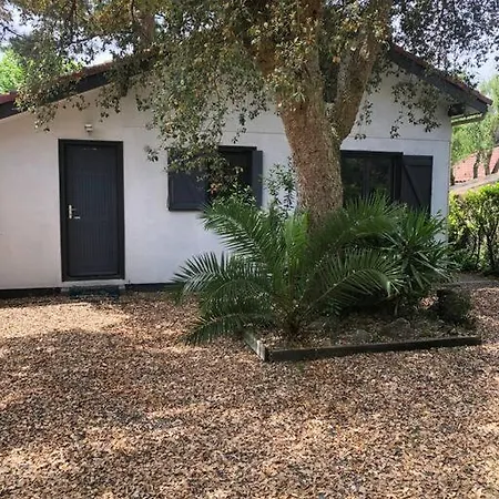 Maison Renovee Ocean A 1 Km * Messanges (Landes)