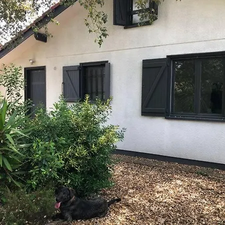Maison Renovee Ocean A 1 Km Vakantiehuis *